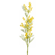 mimosa geel - l79,5cm