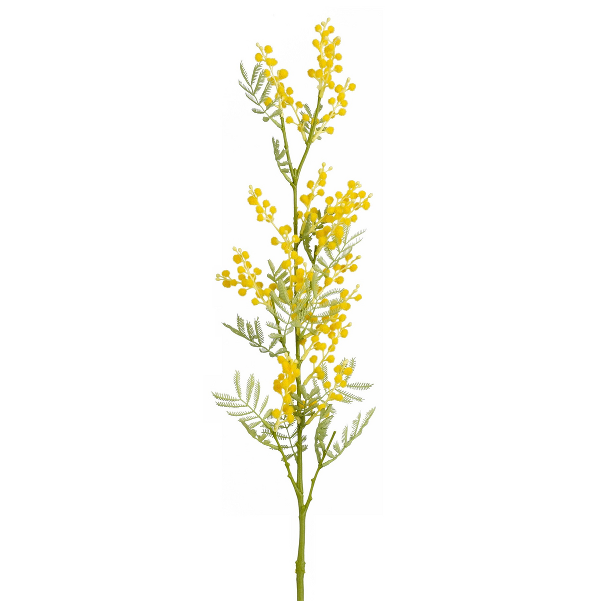 mimosa geel - l79,5cm