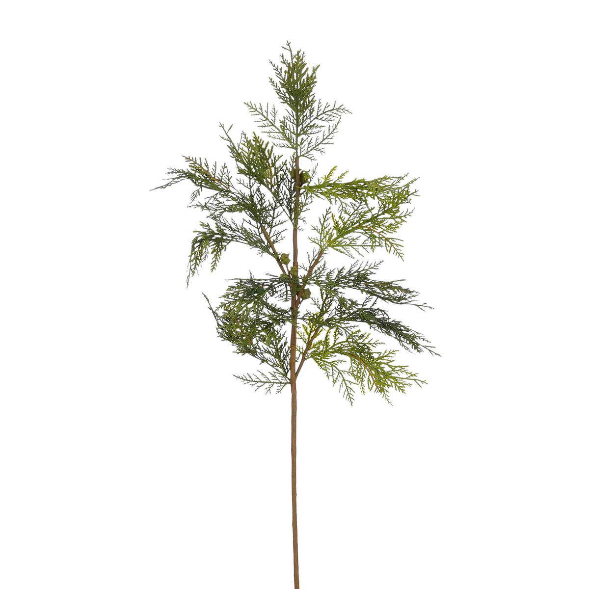 ceder tak groen - l94xb30xh4cm