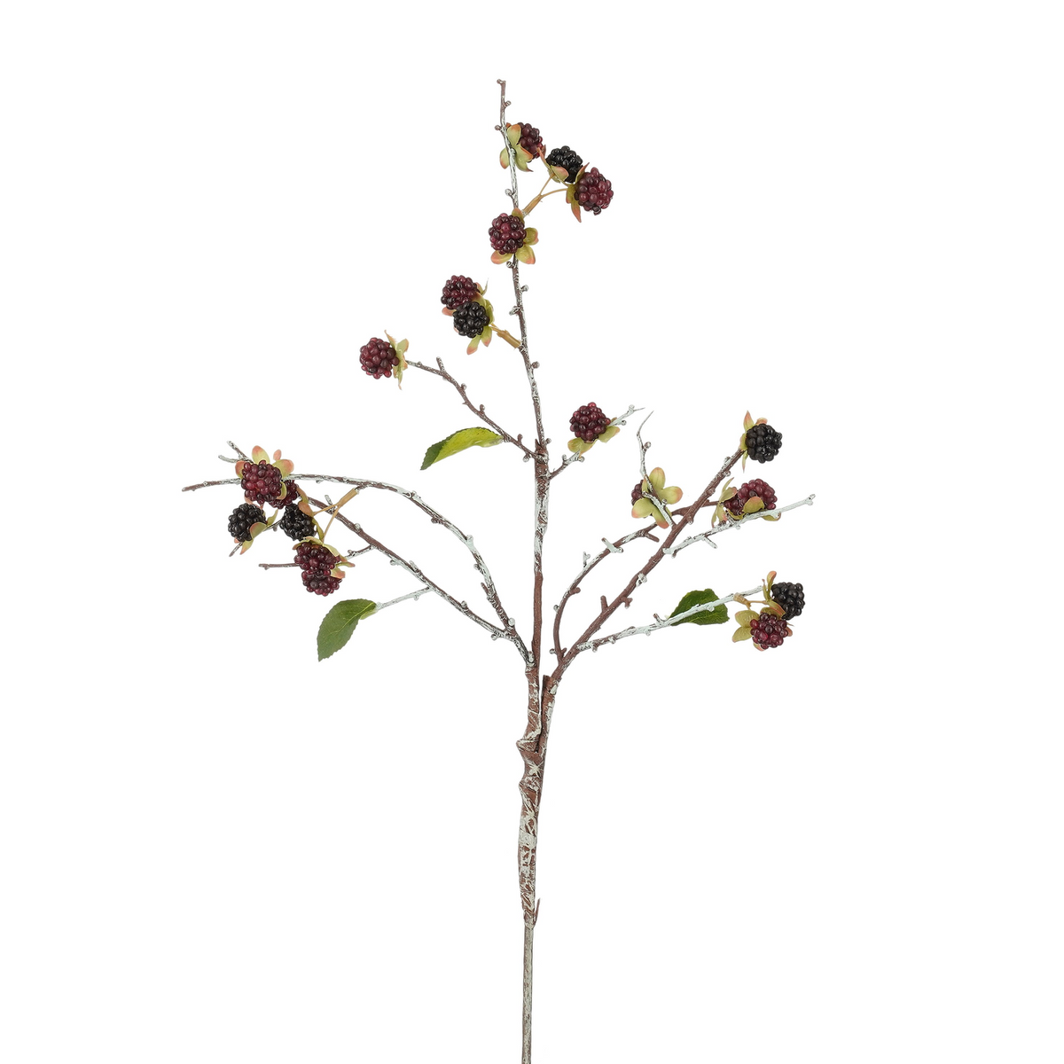 rubus d.rood - l55cm