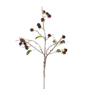 rubus d.rood - l55cm