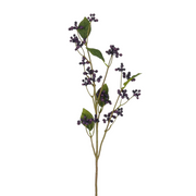 rubus d.paars - l78cm