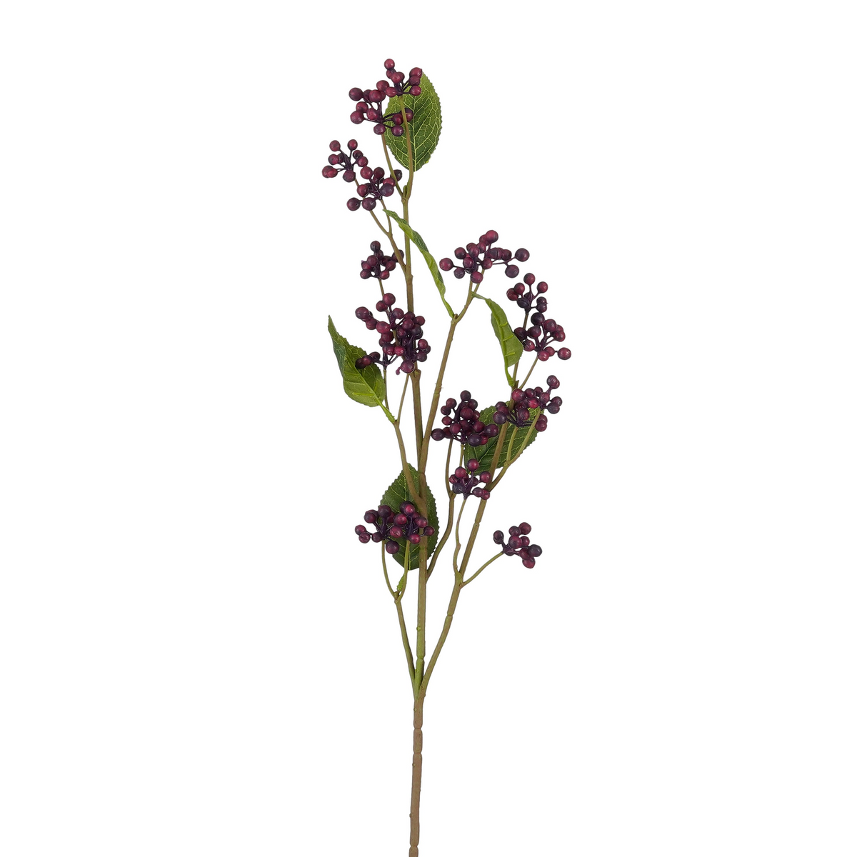 rubus paars - l78cm