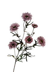 daisy spray 80 cm purple