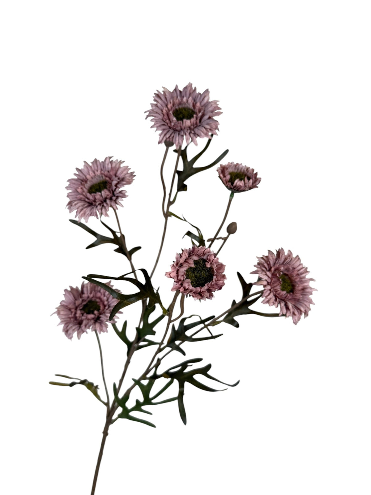 daisy spray 80 cm purple