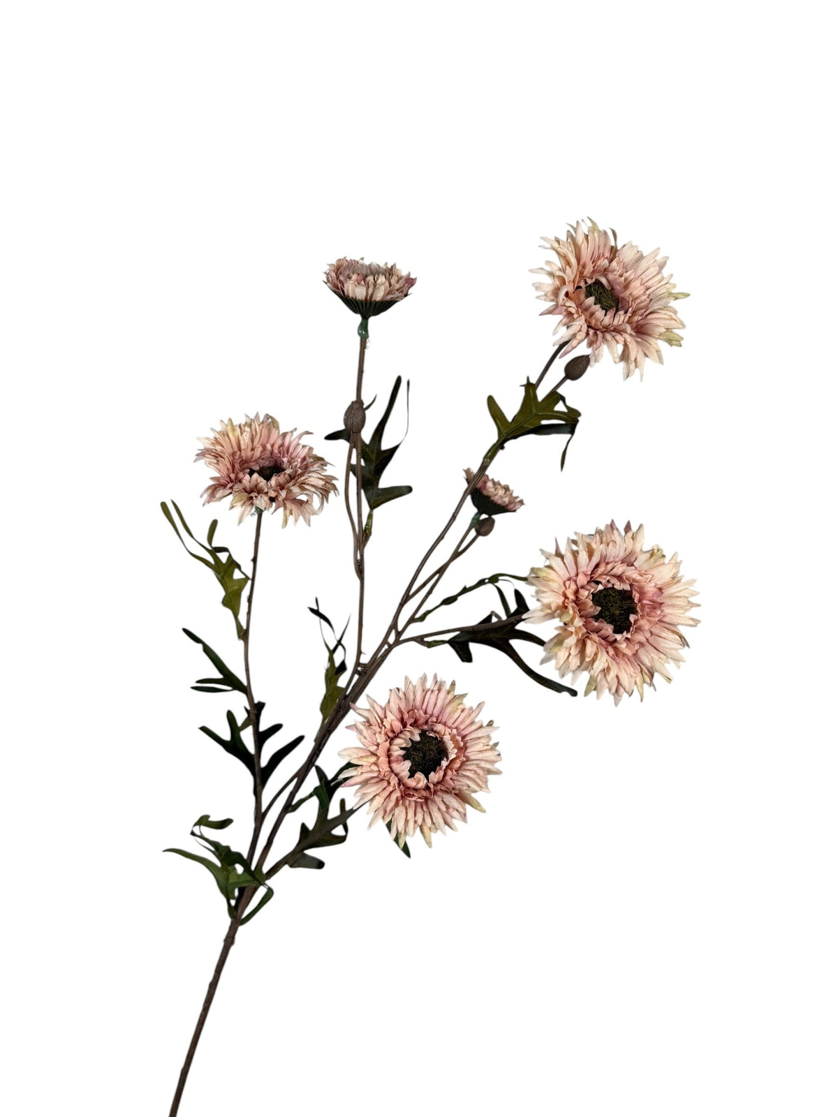 daisy spray 80 cm pink