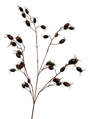 rose hip spray 76 cm black/purple