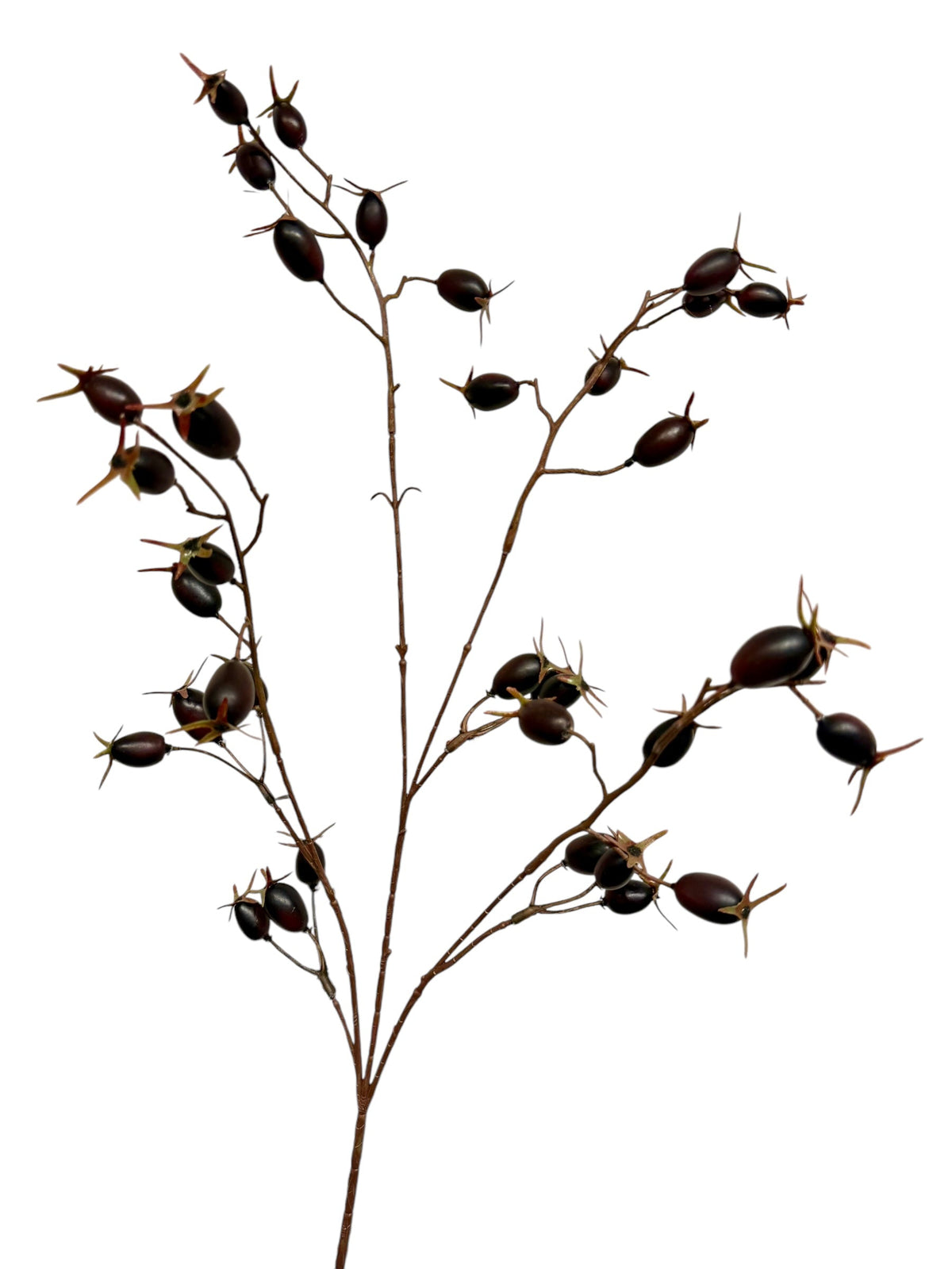 rose hip spray 76 cm black/purple