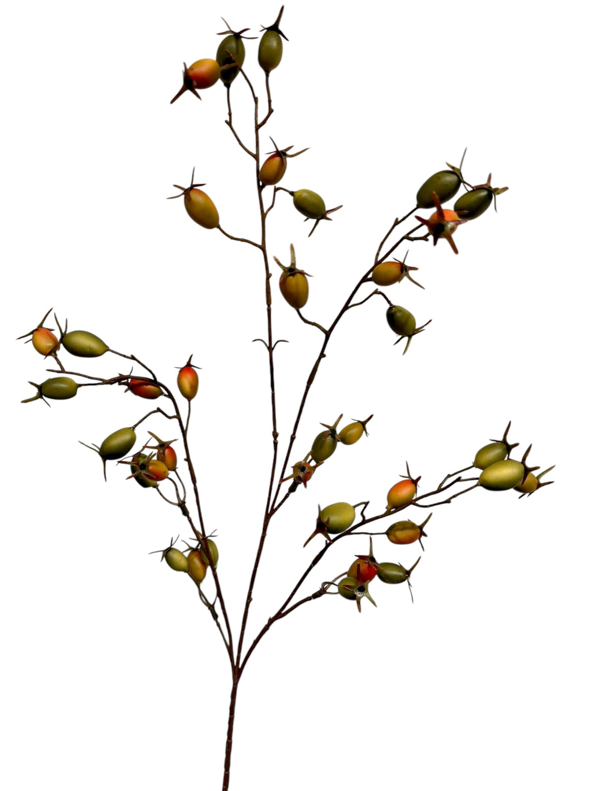 rose hip spray 76 cm green/red