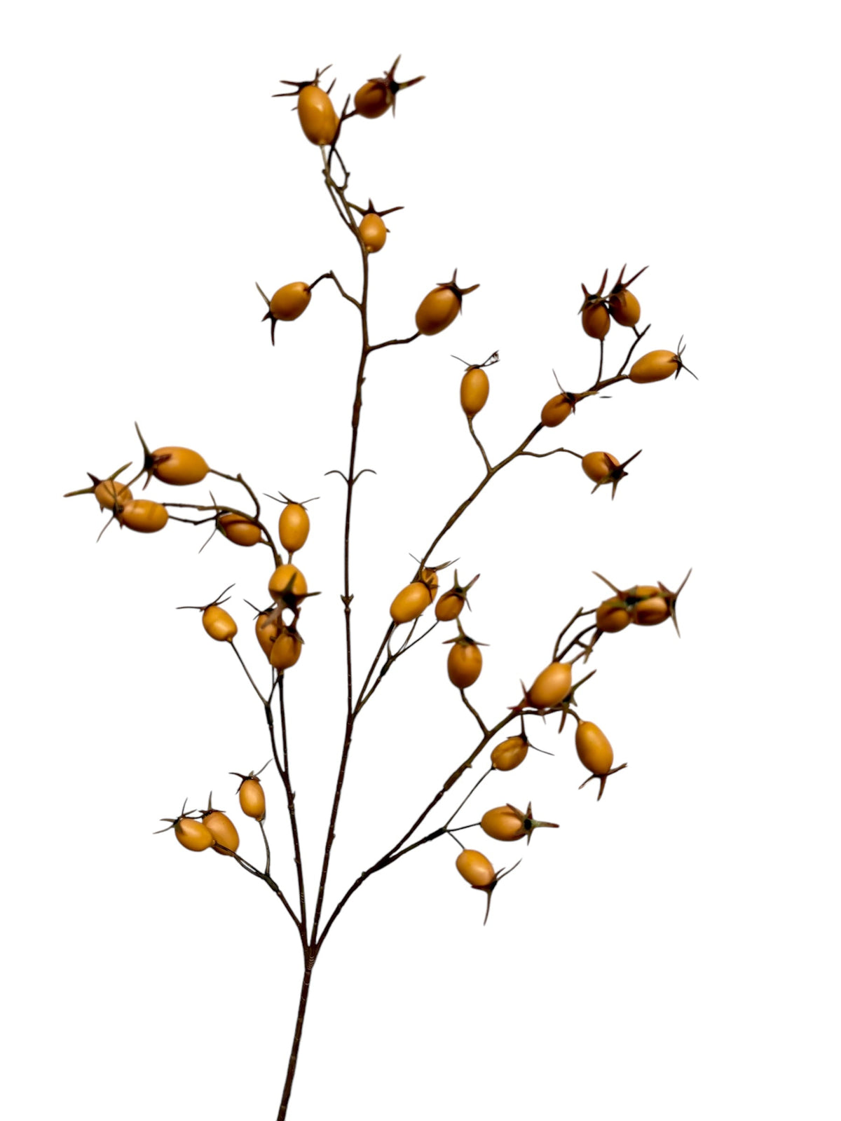 rose hip spray 76 cm light brown
