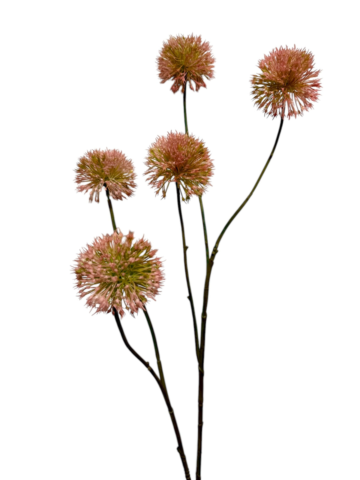 allium spray x 5 105 cm pink