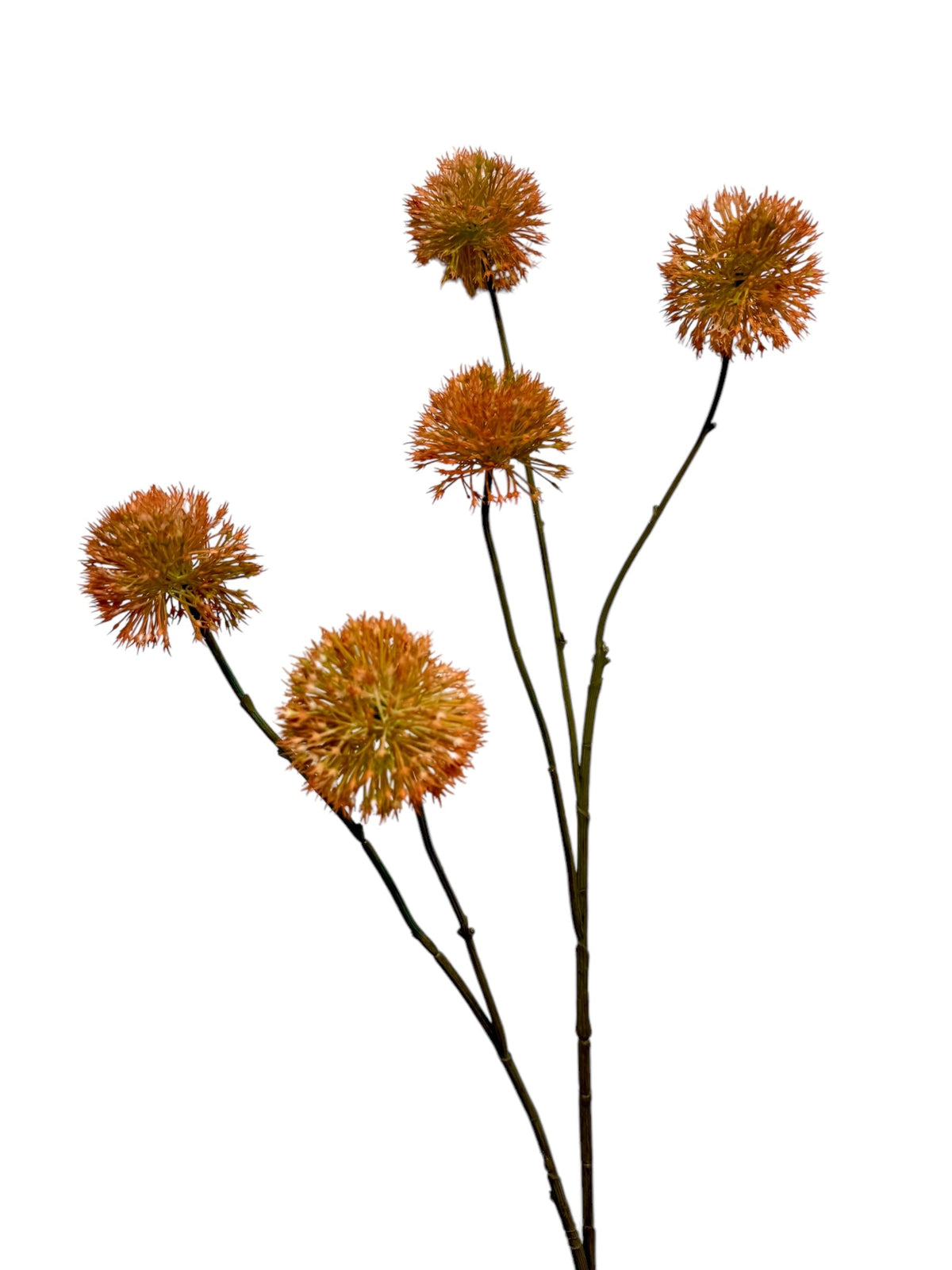 allium spray x 5 105 cm orange