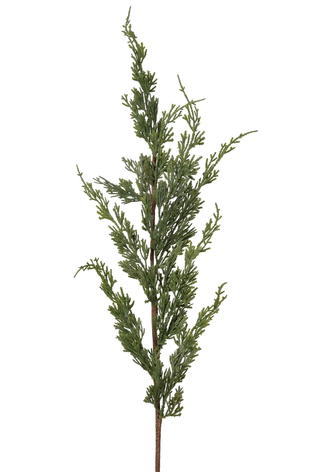 ceder spray 80cm grey