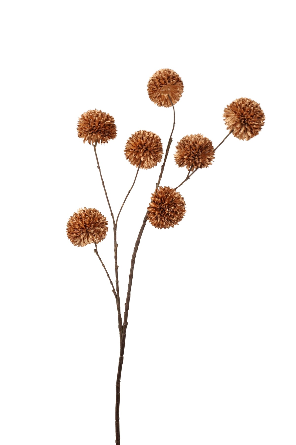 pompom spray x 7 lg 98 cm koper