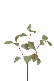 eucalyptus tak 67 cm grijs
