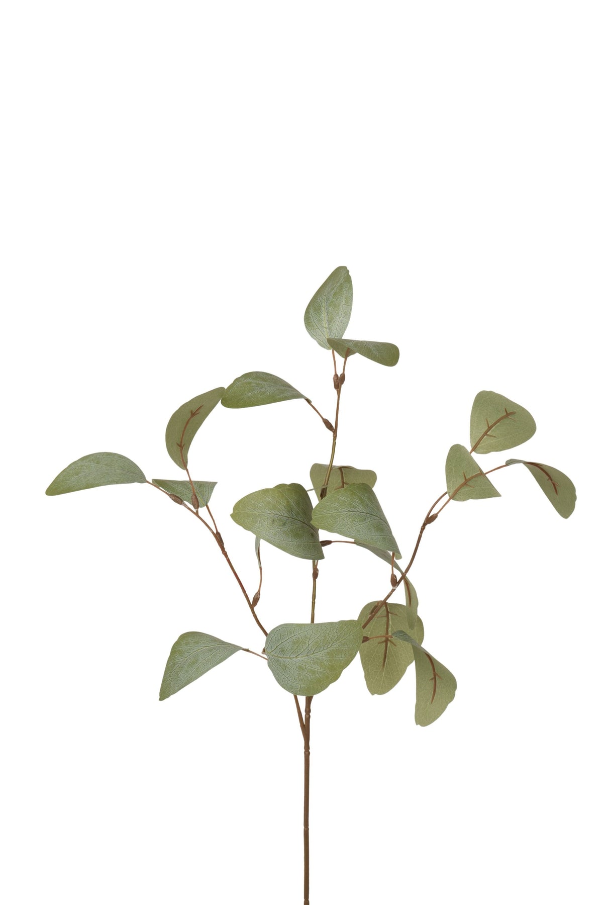eucalyptus tak 67 cm grijs