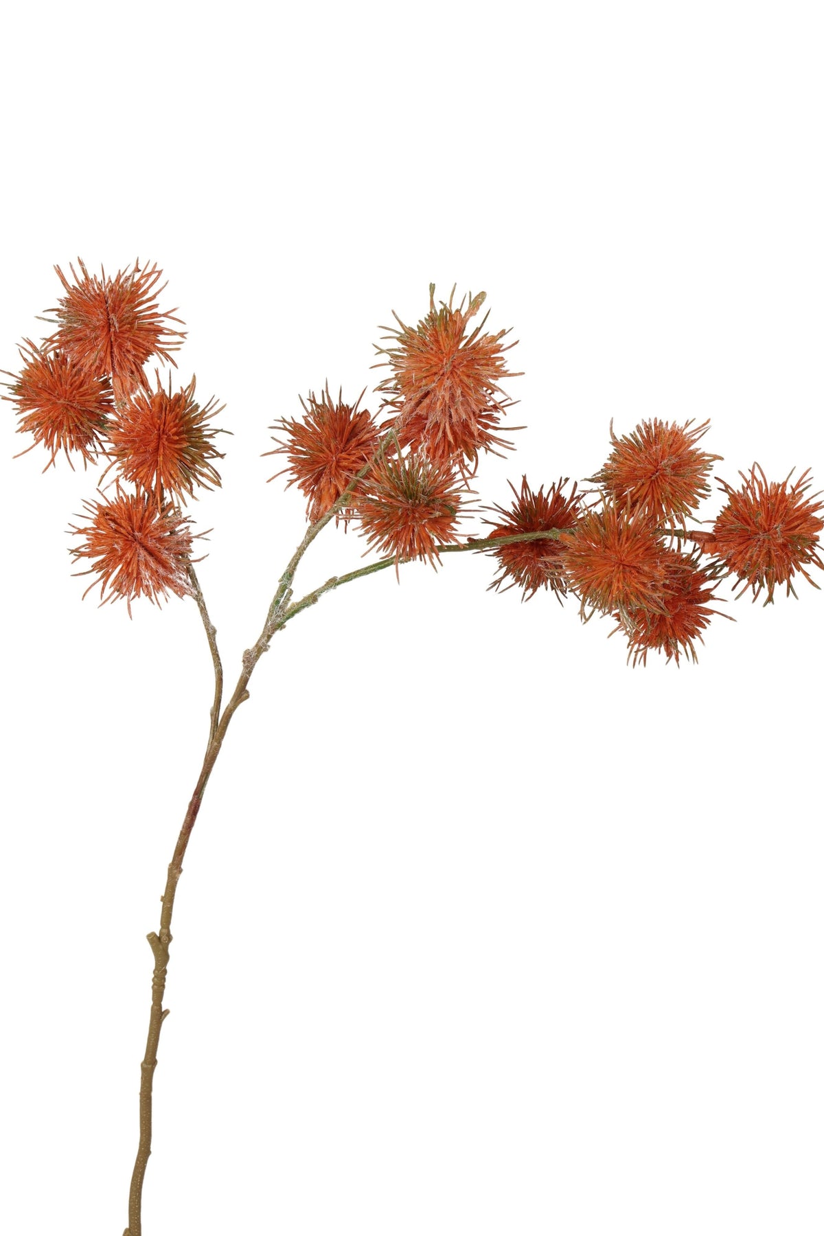 distel tak 68 cm oranje
