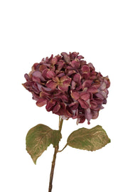 hortensia x 1 55 cm paars met goud