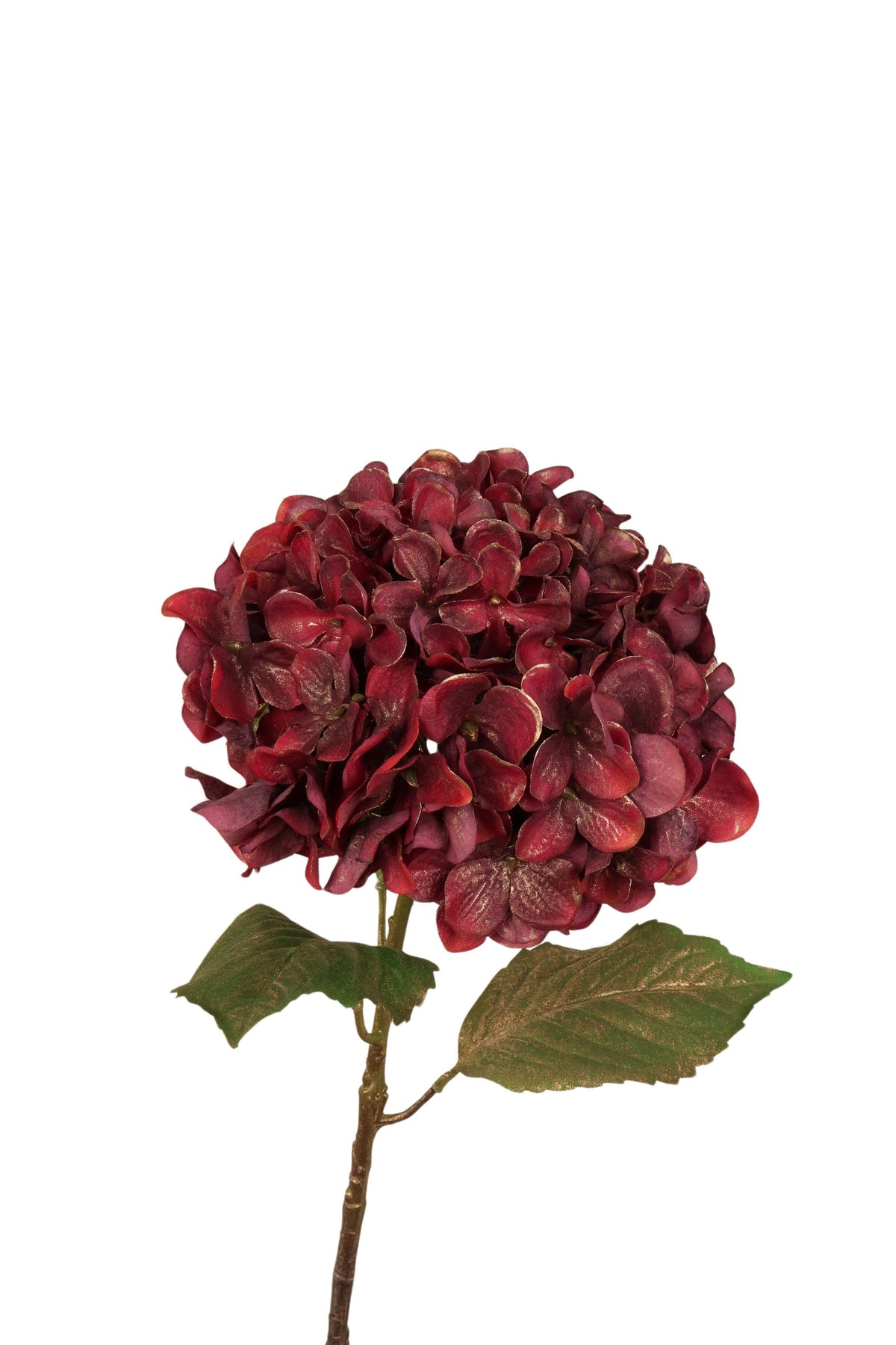 hortensia x 1 55 cm burgundy met goud