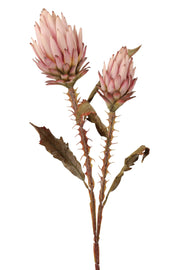 protea x 2 tak 73 cm pink