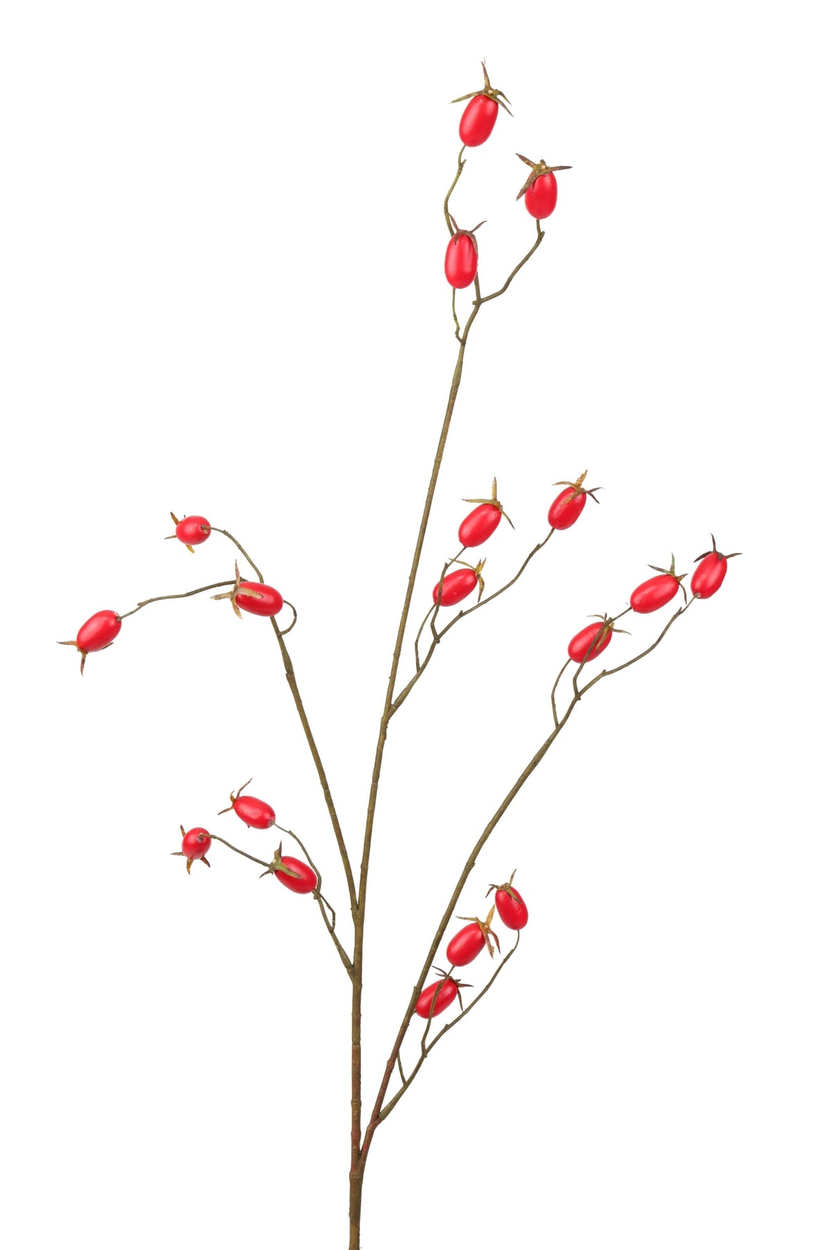 rozenbottel tak 90 cm rood