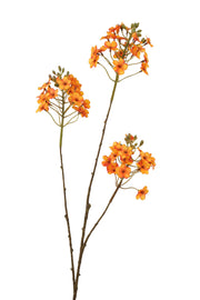 prunes x 3 80 cm oranje