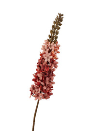 eremurus spray 90 cm roest