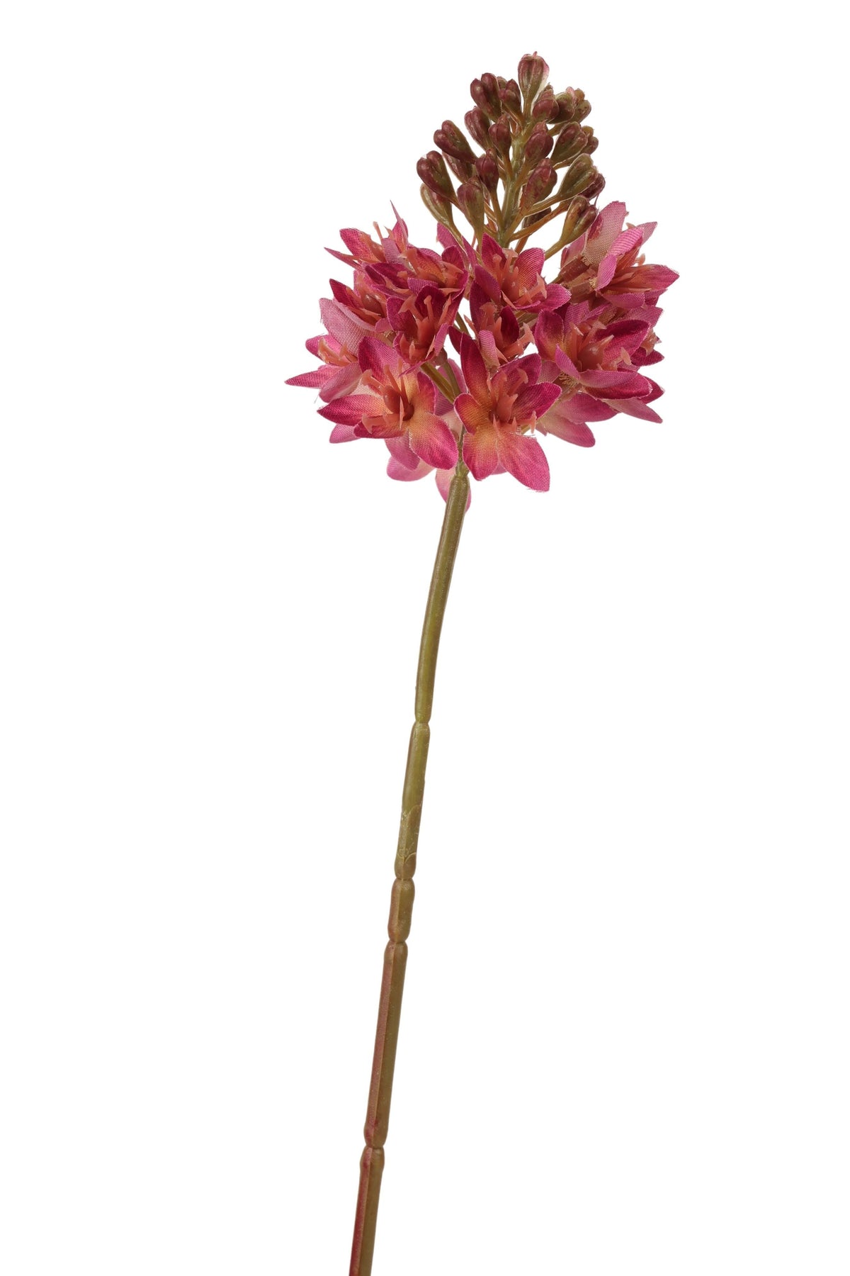 ornitigalum spray 72 cm mauve