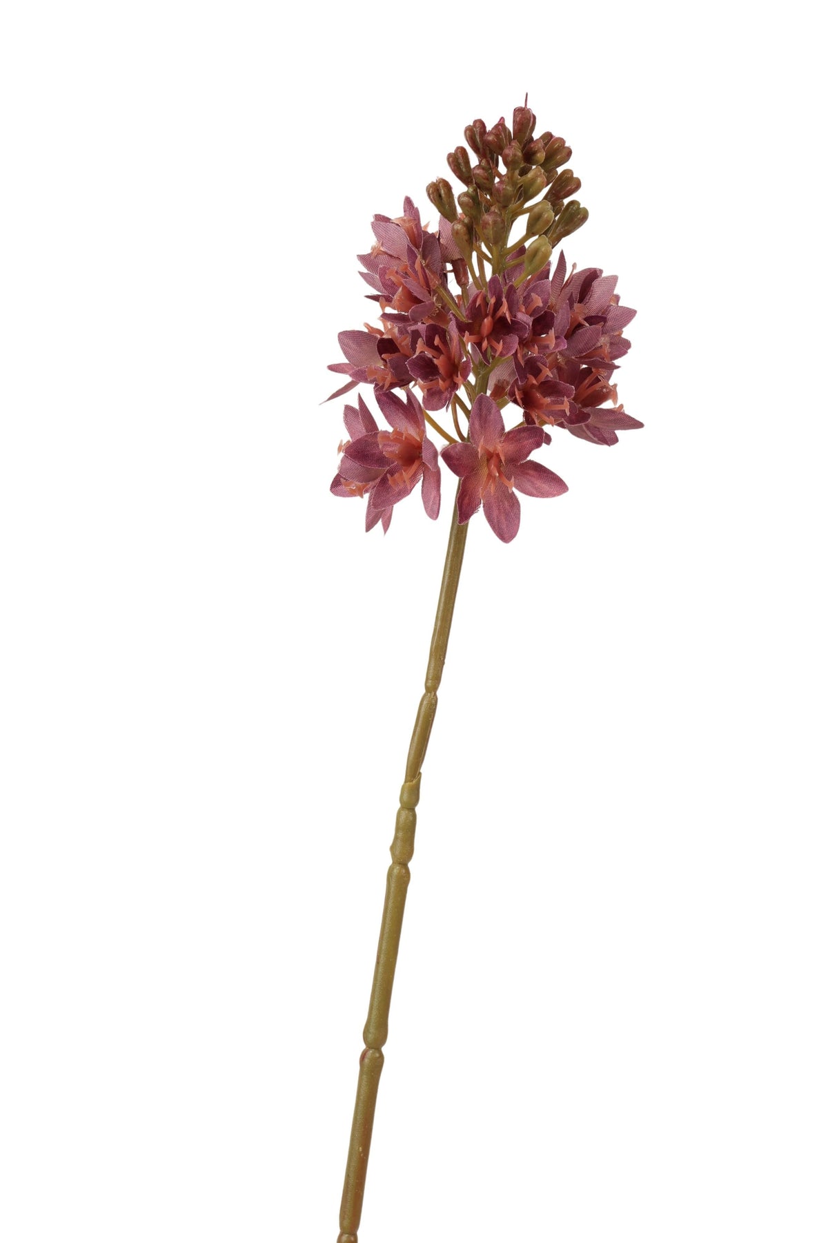 ornitigalum spray 72 cm lt purple