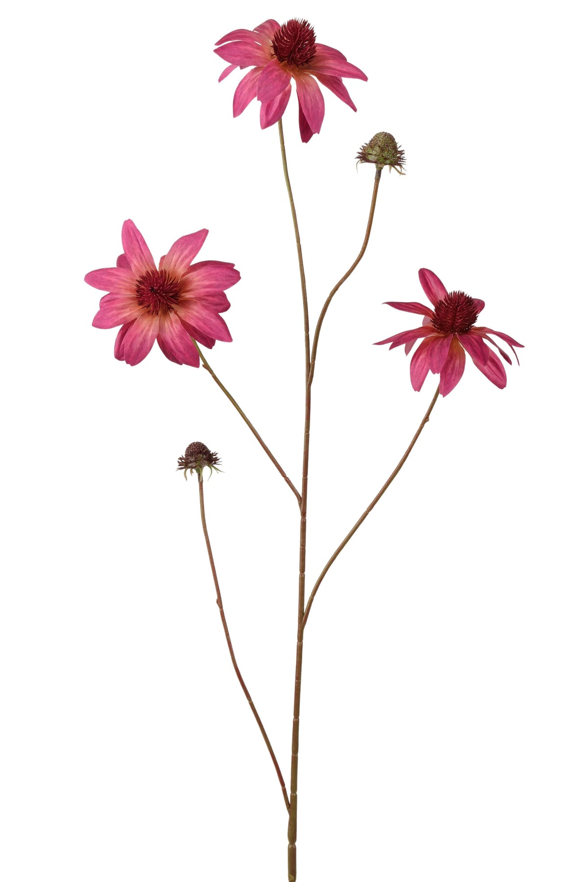 Rudbeckia Spray 98 cm Mauve