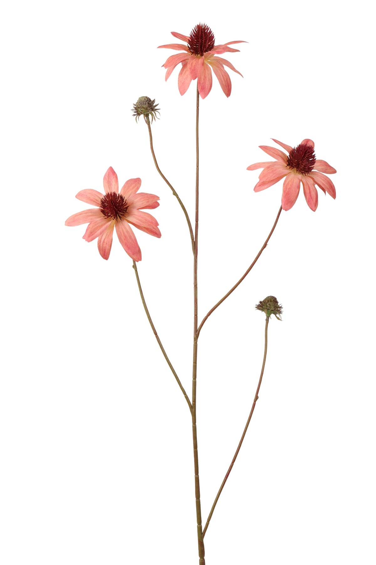 Rudbeckia Spray 98 cm lt pink