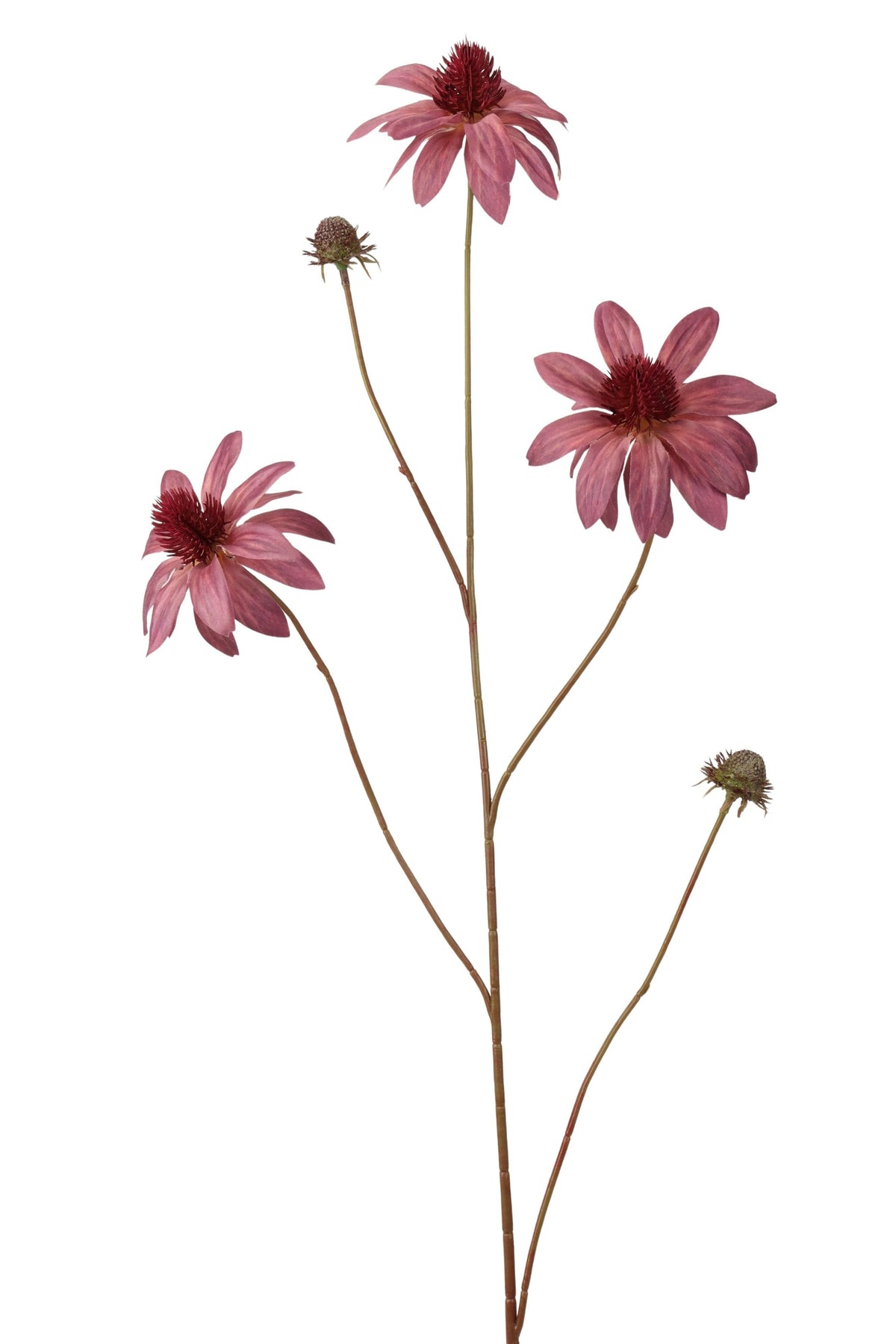 rudbeckia spray 98 cm lt purple