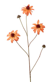 rudbeckia spray 98 cm orange