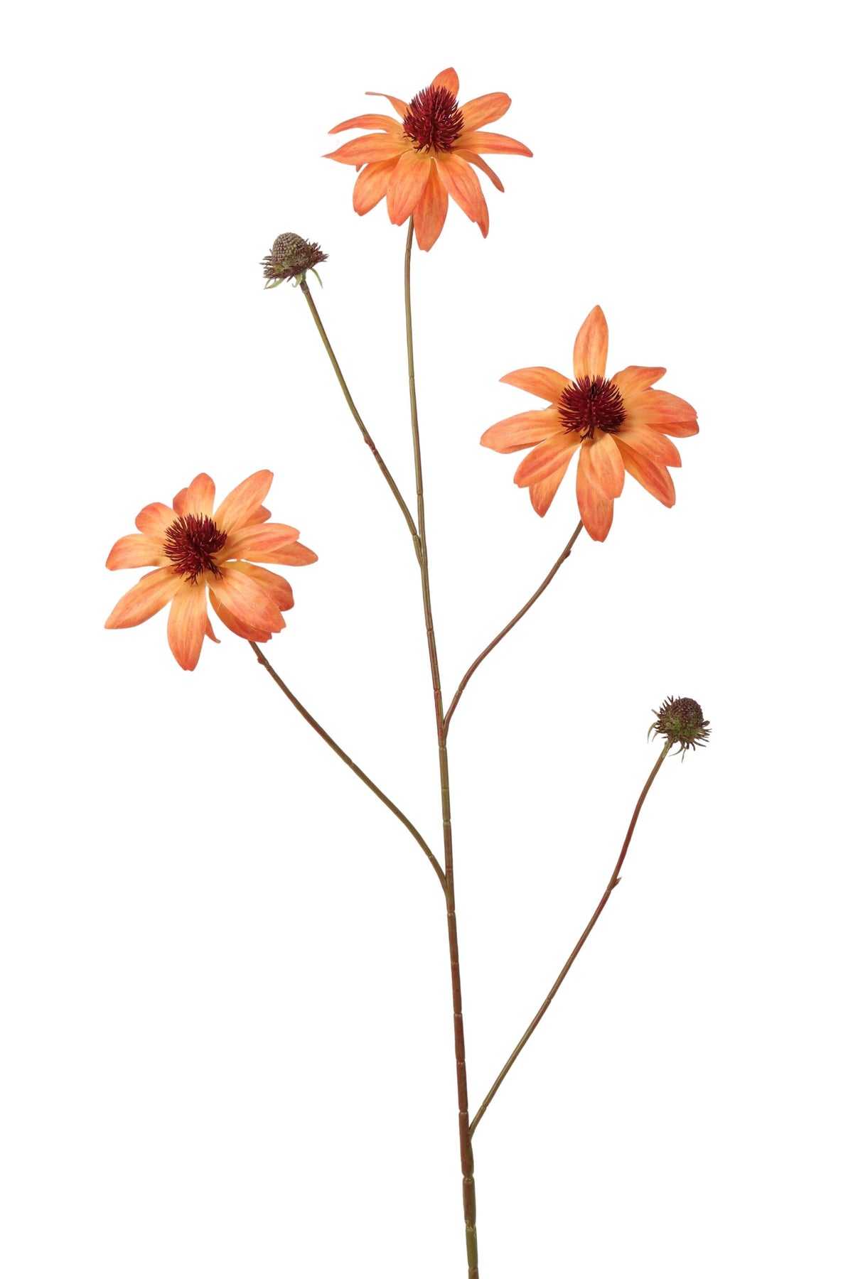 rudbeckia spray 98 cm orange