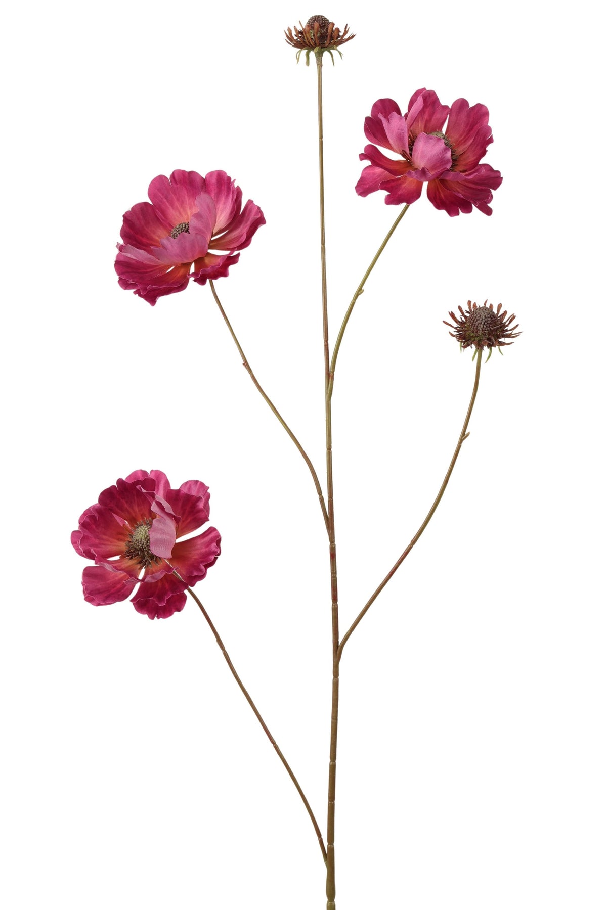 anemoon spray 96 cm mauve