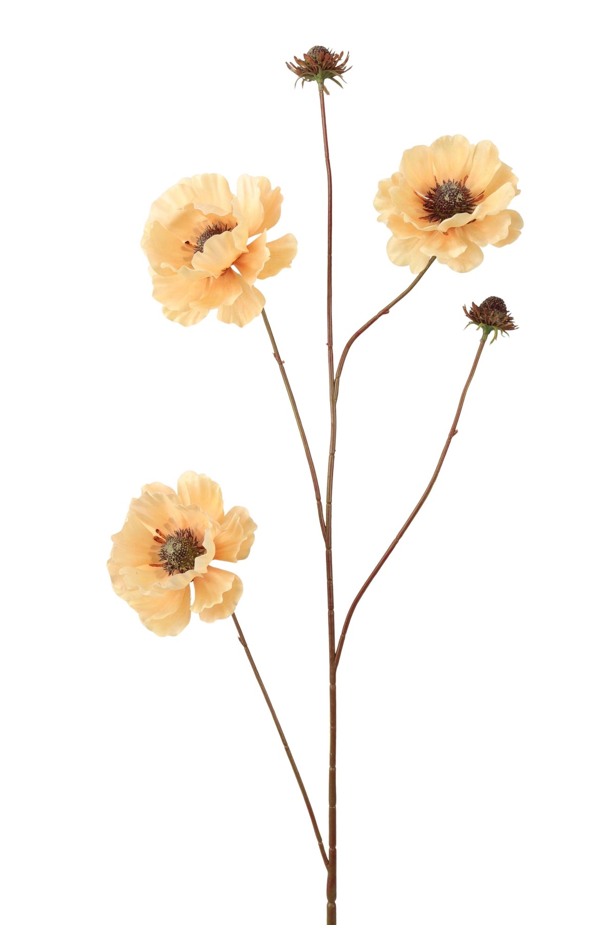 anemoon spray 96 cm yellow