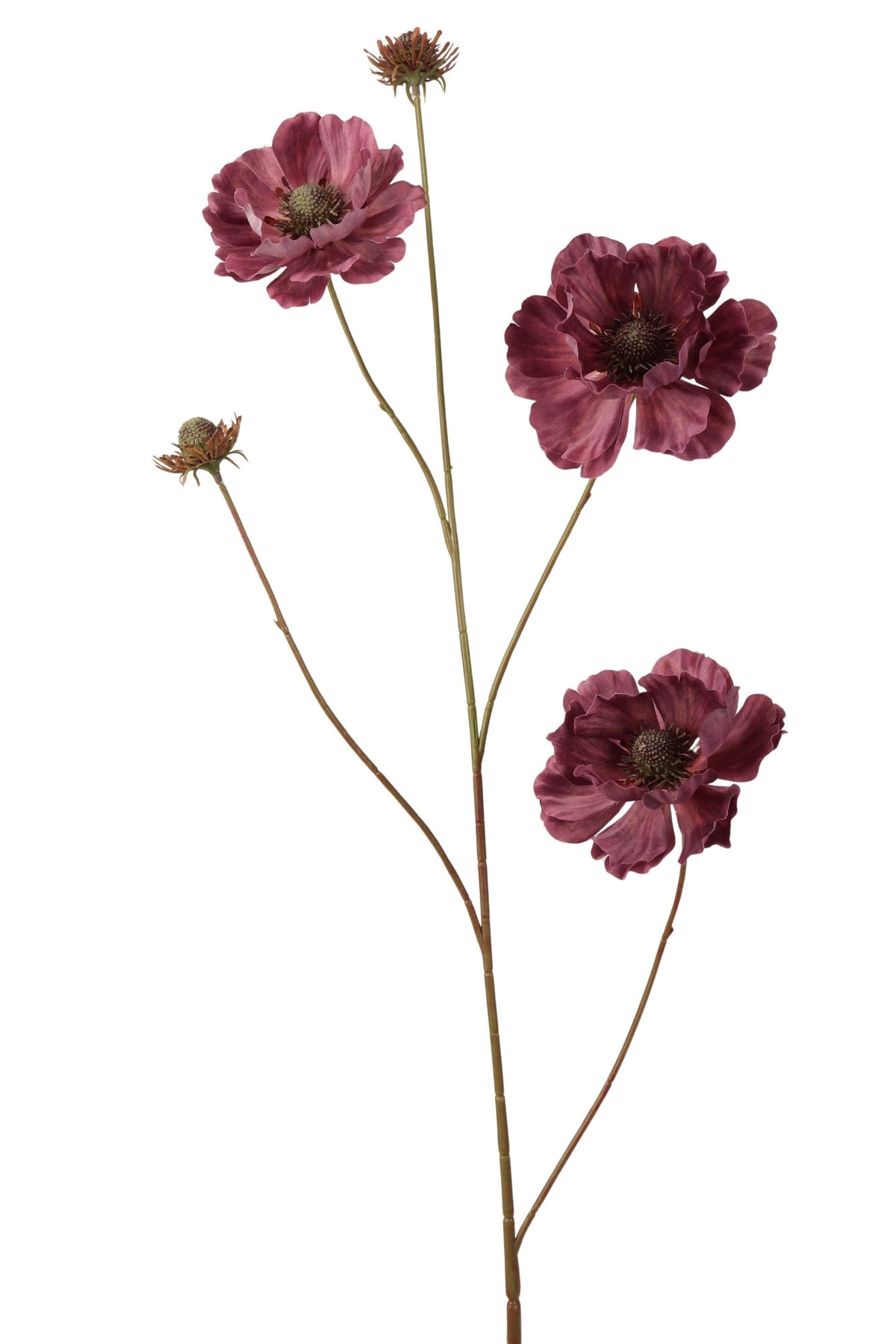 anemoon spray 96 cm lt purple