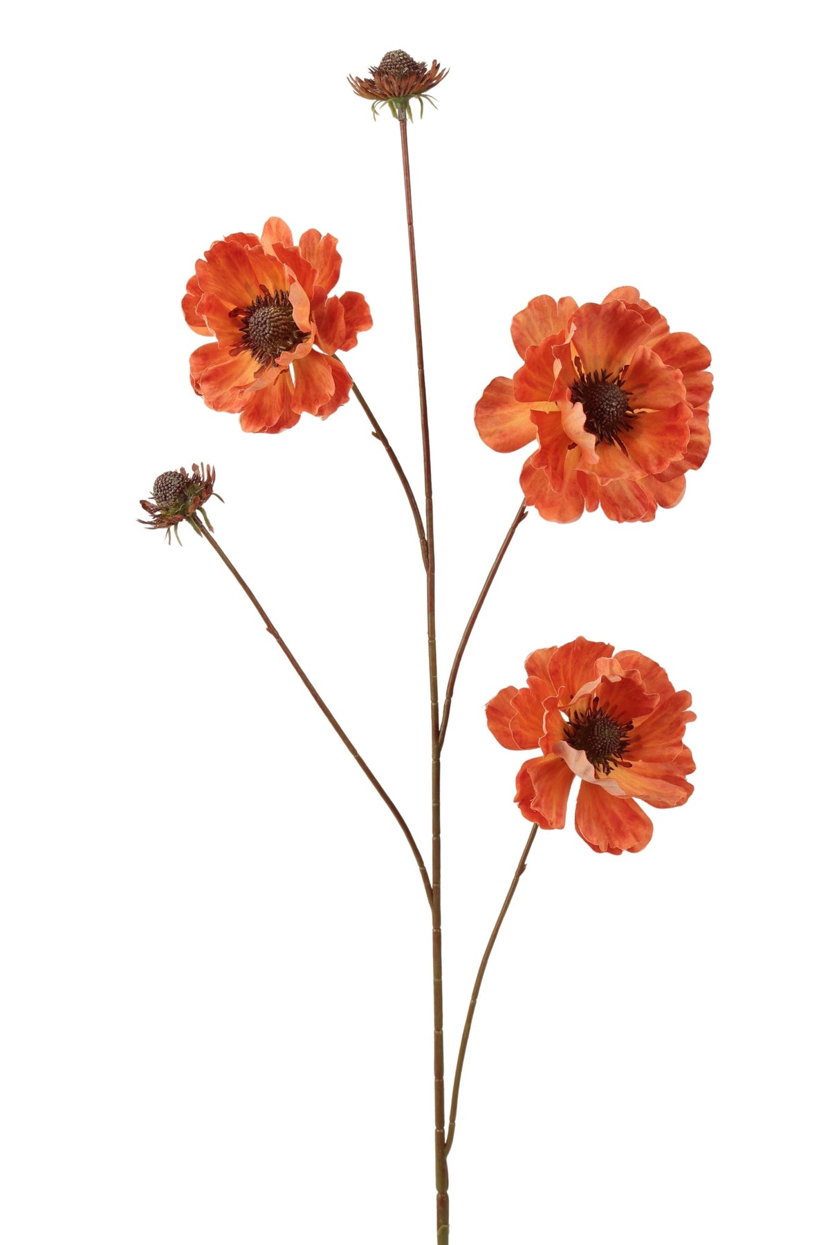 anemoon spray 96 cm orange