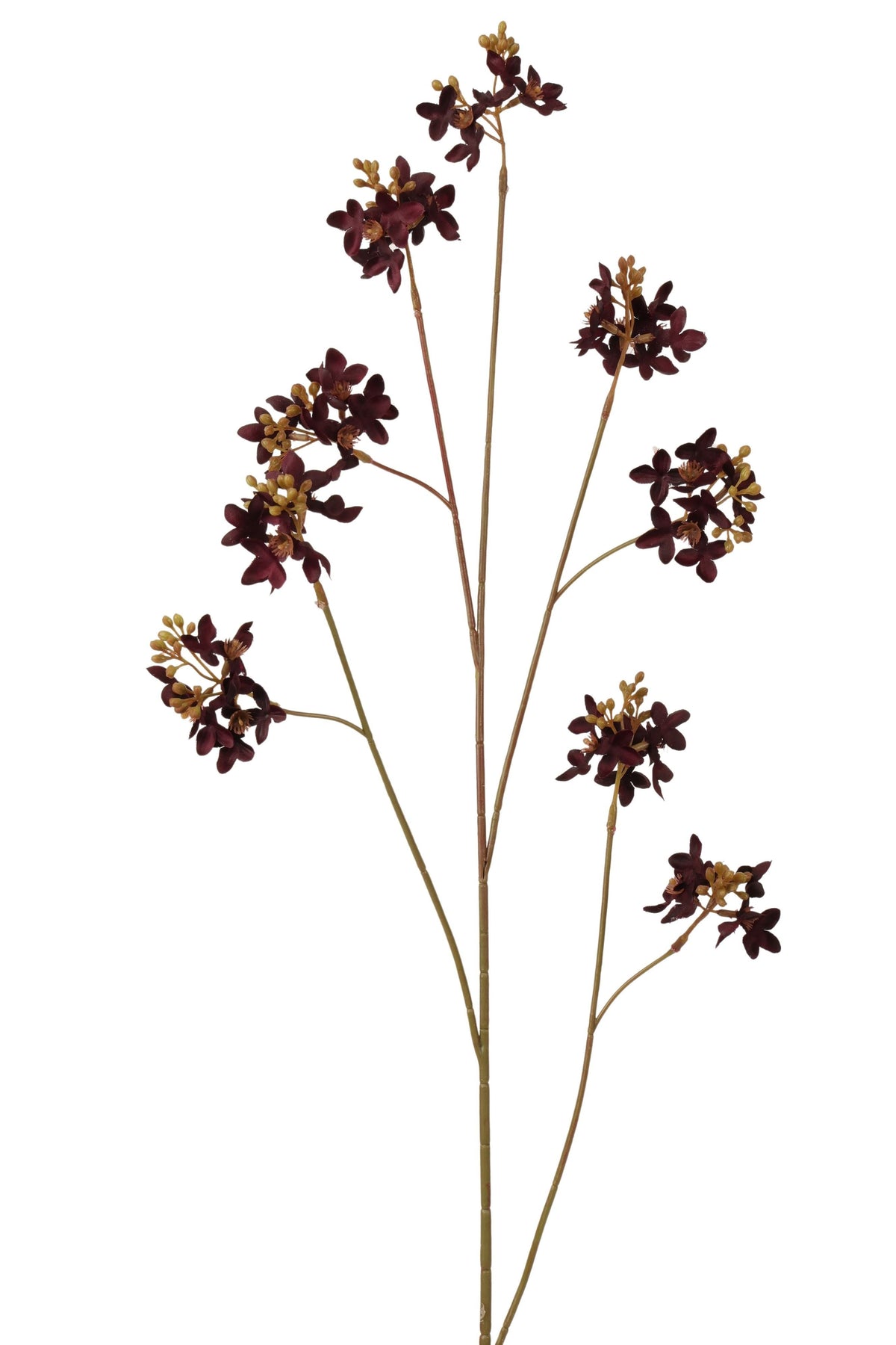 sering spray 100 cm burgundy
