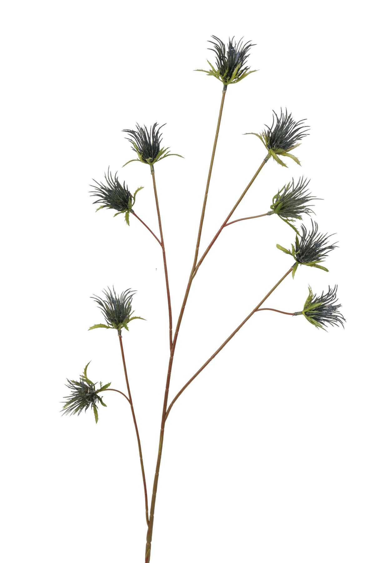 grass 97 cm blue