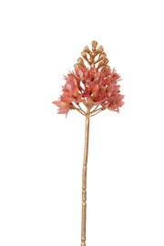 ornitigalum spray w/gold stem 72 cm lt pink