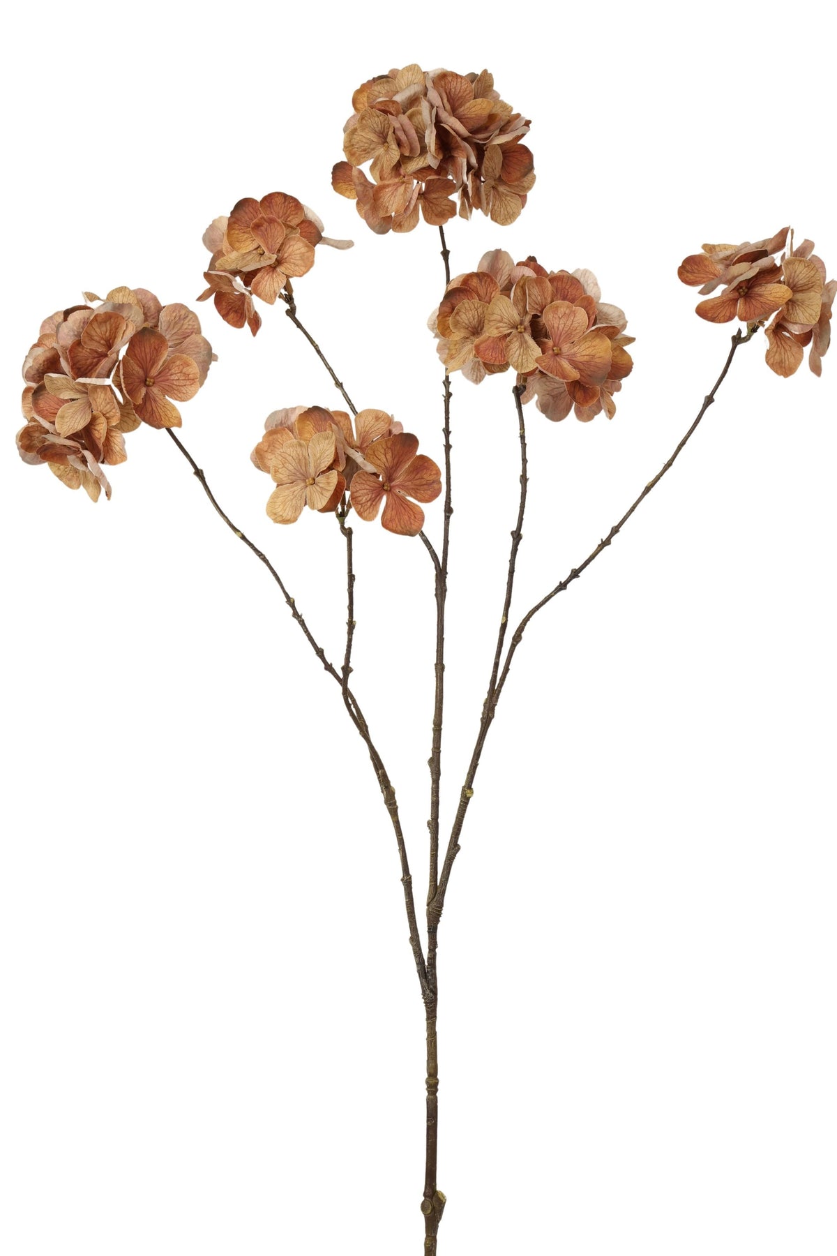 hortensia spray x 6 100 cm dk brown