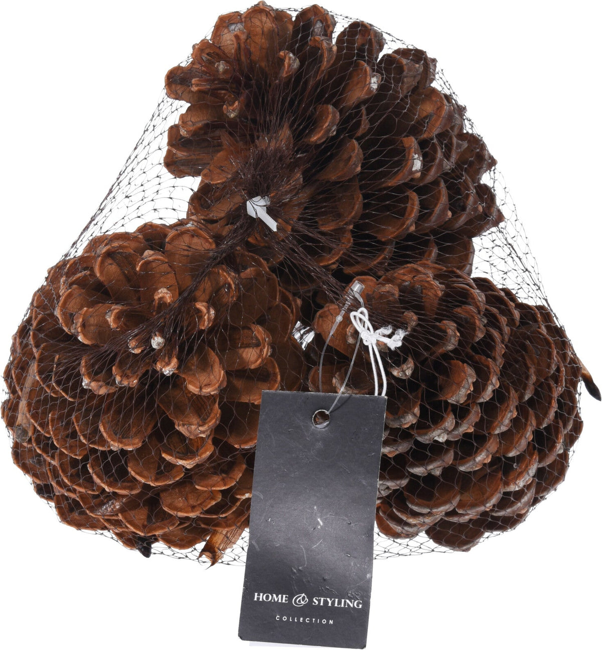 dennenappel naturel set 3sts
