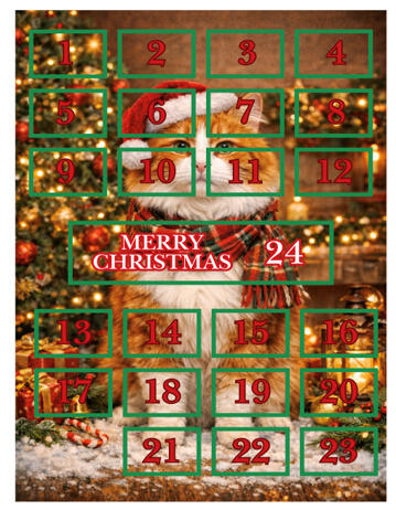 cats advent calender