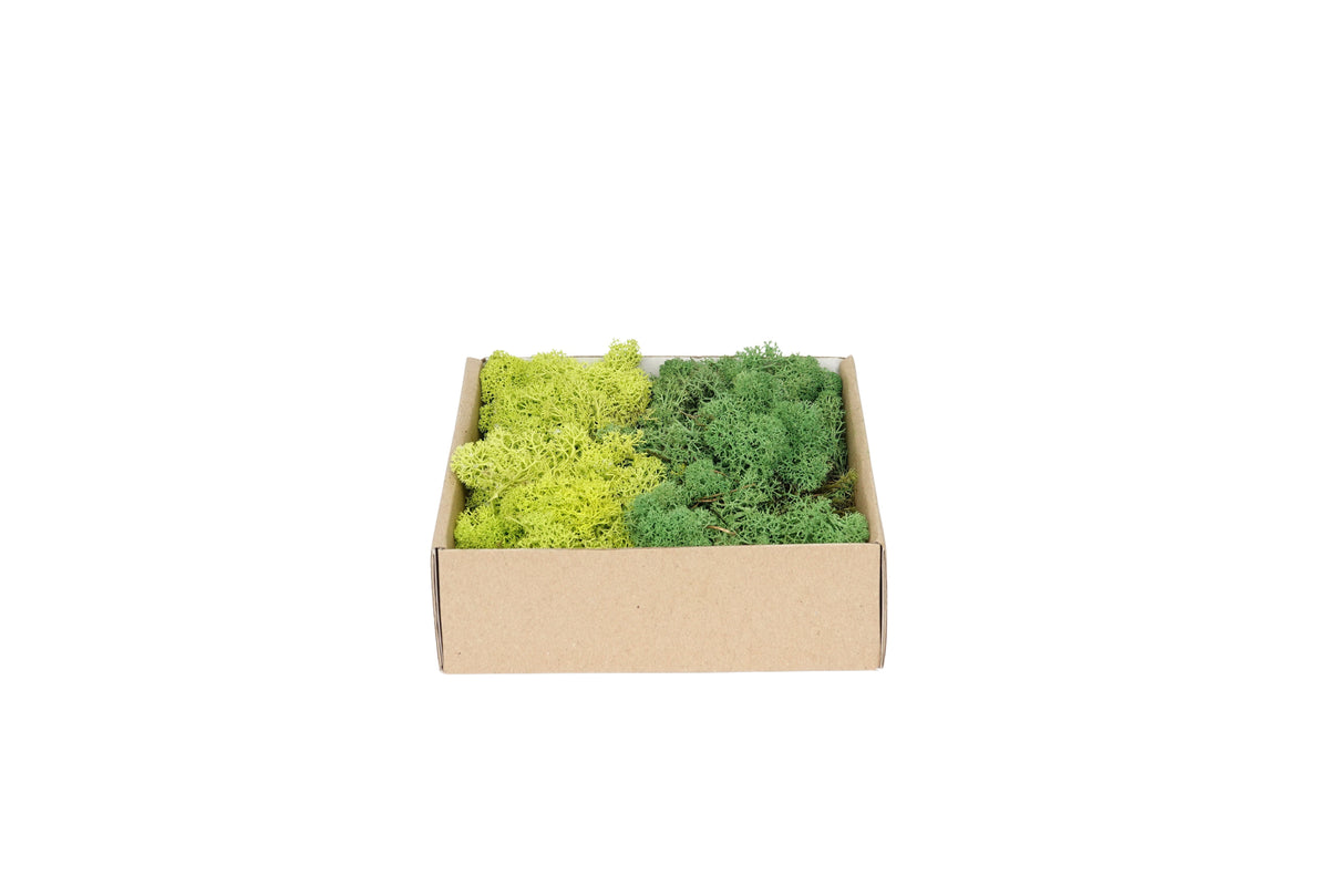 rendiermos mix donkergroen-groen 250g