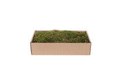 platmos groen-bruin 500g